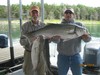 (06/11/2014) - Nice Striped Bass